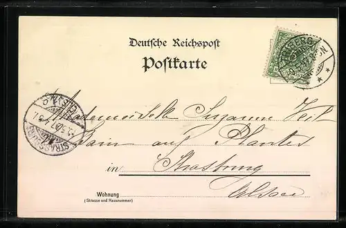 Lithographie Triberg, Hotel Engel, Bauernhaus, Aussichts-Turm