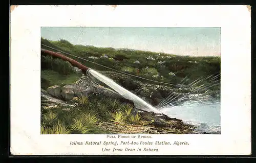 AK Port-Aux-Poules, Icilma Natural Spring, Full Force of Spring