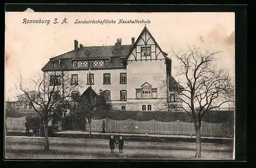 AK Ronneburg /S.-A., Landwirtschaftliche Haushaltschule mit Strasse