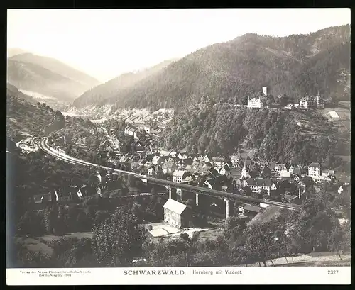 Fotografie NPG, Berlin-Steglitz, Ansicht Hornberg / Schwarzwald, Ortsansicht mit Viadukt & Bahnhof