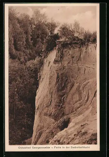 AK Georgenswalde, Ostseebad, Partie in der Dedroitschlucht