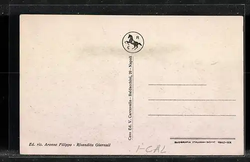 AK S. Eufemia Lamezia, Panorama