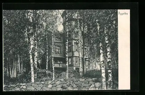 AK Aggelby, Panorama