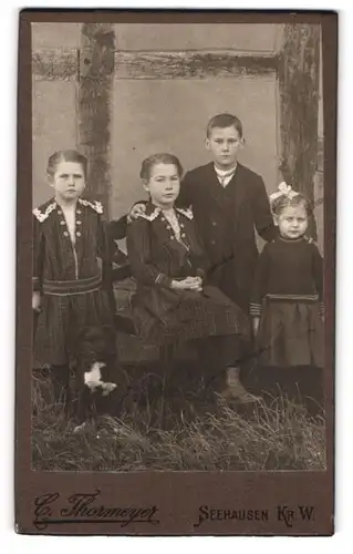 Fotografie C. Thormeyer, Seehausen Kr. W., Bruder mit 3 Schwestern in eleganter Kleidung