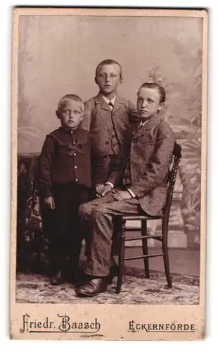 Fotografie Friedr. Baasch, Eckernförde, 3 Brüder in eleganter Kleidung