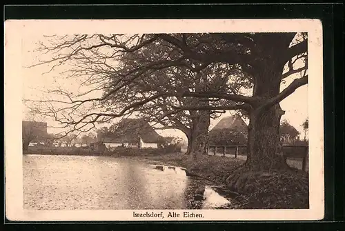 AK Israelsdorf, Alte Eichen