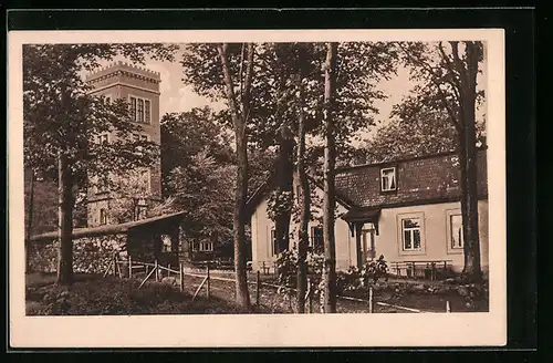 AK Neukirch /Laus., Luftkurort Valtenberg mit Aussichtsturm