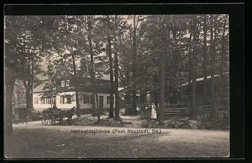 AK Neustadt /Sa., Gasthaus Hohwaldschänke mit Strasse