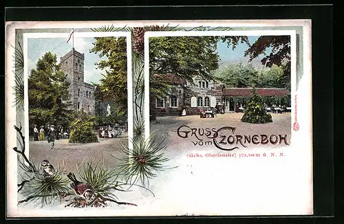 AK Czorneboh /Sa., Gaststätte und Aussichtsturm