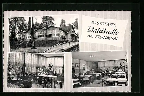 AK Büchen-Pötrau, Gasthof Waldhalle am Steinautal