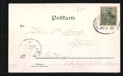 Lithographie Mainz, Uferpartie mit Dampfern