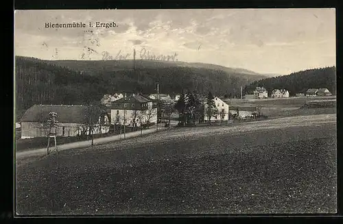 AK Bienenmühle i. Erzgeb., Ortsansicht, Gasthaus Schweizerhof