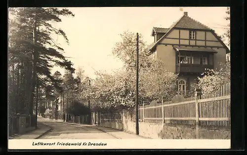 AK Friedewald /Kr. Dresden, Strassenpartie mit blühenden Bäumen