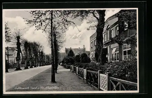 AK Varel i. Old., Partie in der Windallee