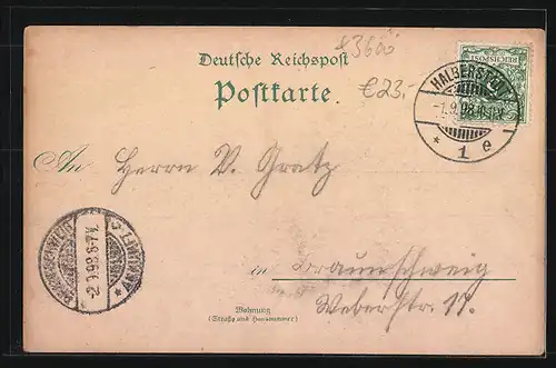 Lithographie Halberstadt, Totalansicht und Holzmarkt mit Passanten