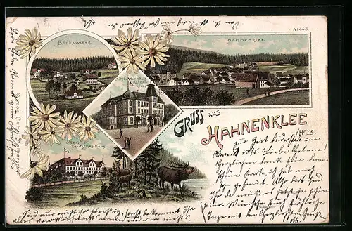 Lithographie Hahnenklee, Ortsansicht, Bockswiese, Hotel Deutsches Haus
