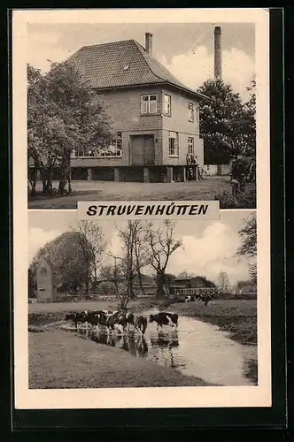 AK Struvenhütten, Backsteinhaus im Ort, Kühe im Dorfweiher