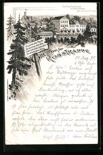 Lithographie Thale, Hotel zur Rosstrappe mit Winzenburg