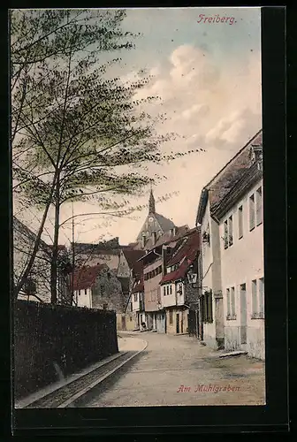 AK Freiberg /Sa., Partie am Mühlgraben