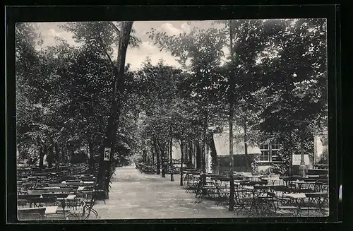 AK Magdeburg, Luftkurort zur Salzquelle, Aussenbereiech