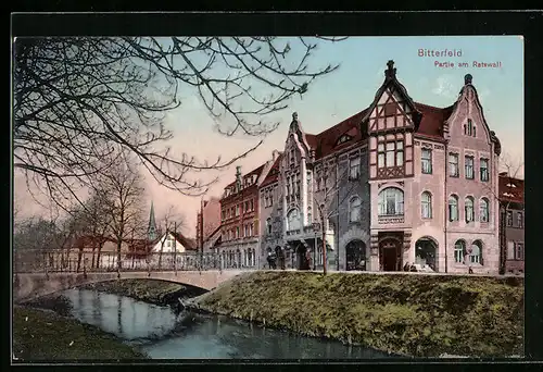 AK Bitterfeld, Partie am Ratswall