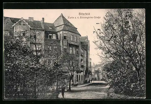 AK Bitterfeld, Partie a. d. Binnengärten-Strasse