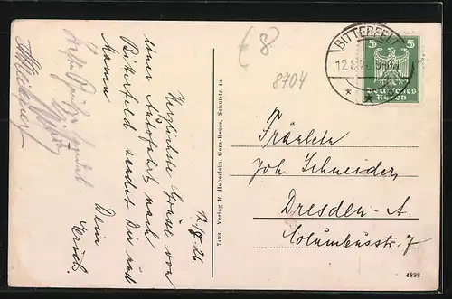 AK Bitterfeld, Häuser im Stadtkern, Binnengärten