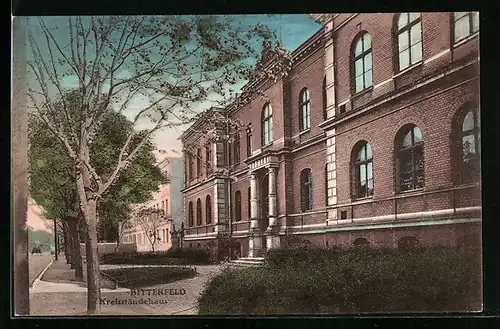 AK Bitterfeld, Strassenpartie am Kreisständehaus