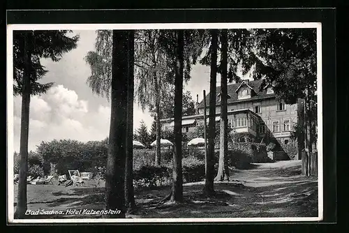 AK Bad Sachsa, Hotel Katzenstein mit Aussenbereich