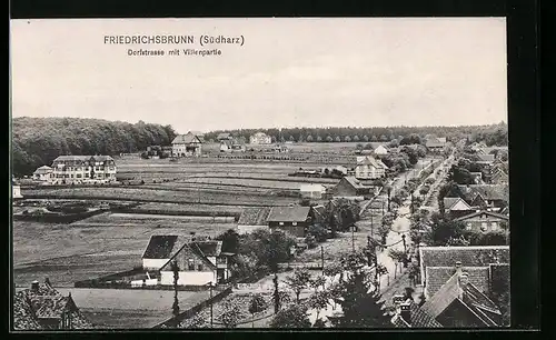 AK Friedrichsbrunn /Südharz, Dorfstrasse mit Villenpartie