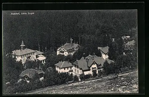 AK Kipsdorf /Sächs. Erzgeb., Häuser im Wald