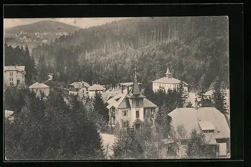 AK Kipsdorf im sächs. Erzgebirge, Ortsansicht aus der Vogelschau