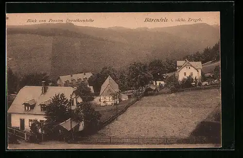 AK Bärenfels i. sächs. Erzgeb., Blick von Pension Dorotheenhöhe