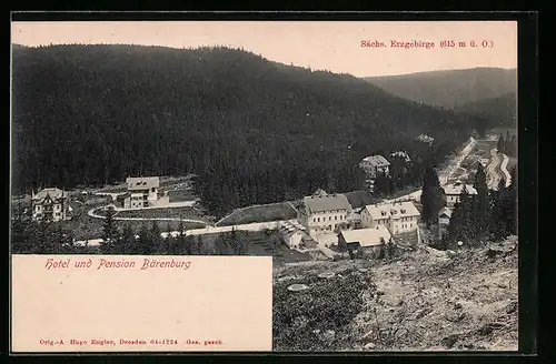 AK Bärenburg /Sächs. Erzgebirge, Blick auf Hotel und Pension