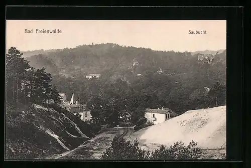 AK Bad Freienwalde, Ansicht Saubucht