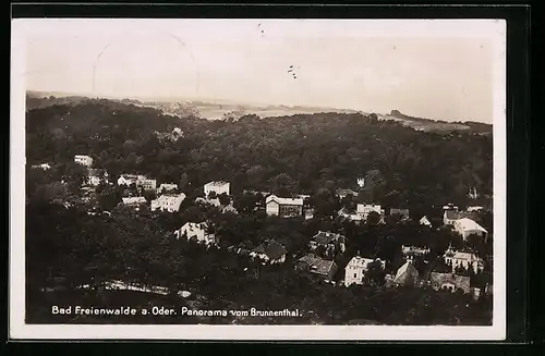 AK Bad Freienwalde a. Oder, Panorama vom Brunnenthal