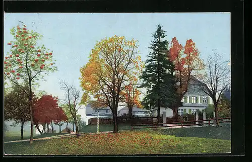 AK Rehefeld, Bäume mit herbstlichem Laub