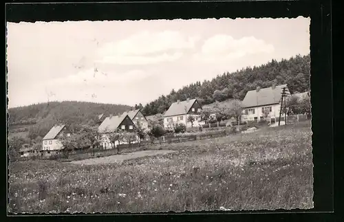AK Geising i. Erzgeb., Siedlung Lindenallee