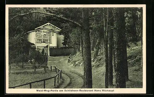 AK Berlin-Grunewald, Schildhorn-Restaurant, Hans Ritzhaupt