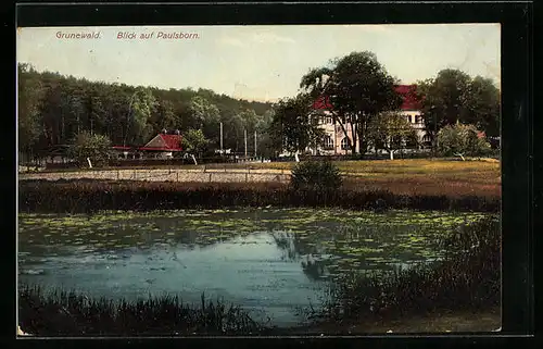 AK Grunewald, Blick auf Paulsborn