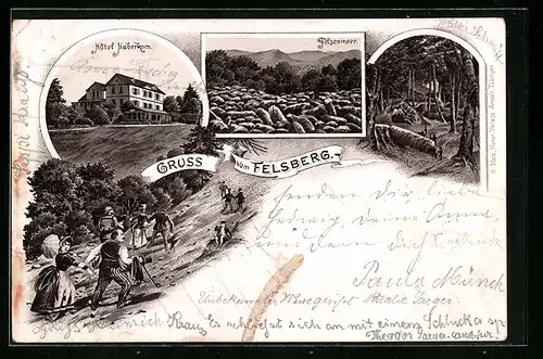 Vorläufer-Lithographie Felsberg, 1895, Hotel Haberkorn, Felsenmeer