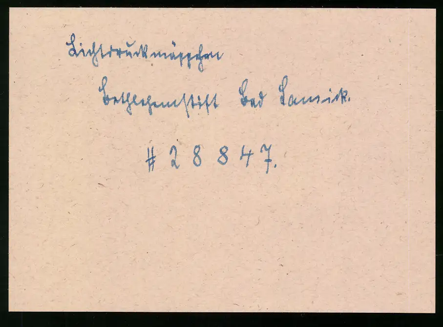 14 Fotografien Brück & Sohn Meissen, Ansicht Bad Lausick, Bethlehemstift - Kindererholungsheim, Aussen & Innenansichten 14
