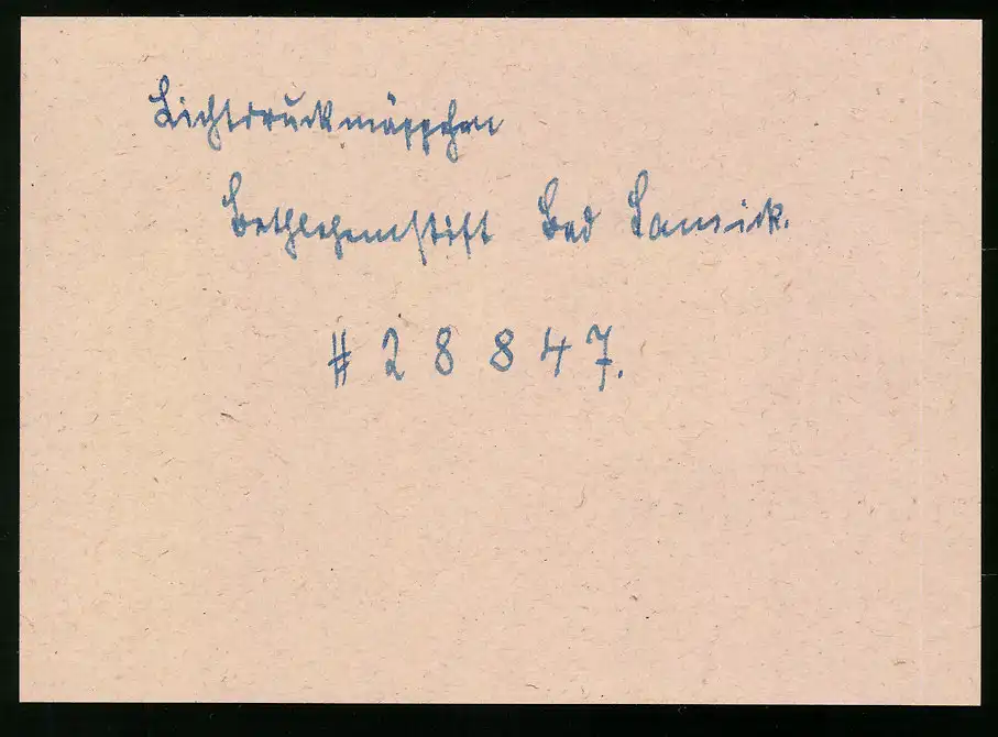 14 Fotografien Brück & Sohn Meissen, Ansicht Bad Lausick, Bethlehemstift - Kindererholungsheim, Aussen & Innenansichten 14