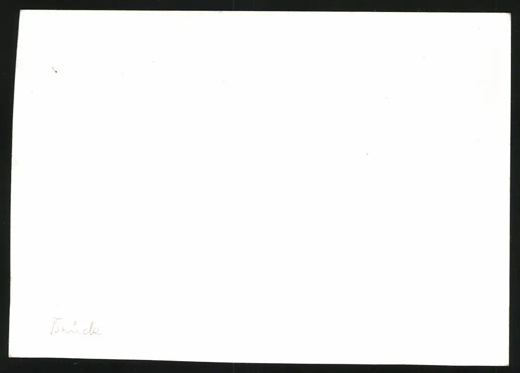 14 Fotografien Brück & Sohn Meissen, Ansicht Bad Lausick, Bethlehemstift - Kindererholungsheim, Aussen & Innenansichten 20
