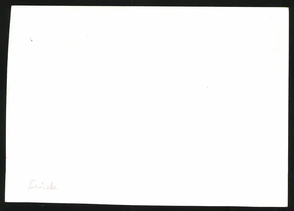 14 Fotografien Brück & Sohn Meissen, Ansicht Bad Lausick, Bethlehemstift - Kindererholungsheim, Aussen & Innenansichten 20