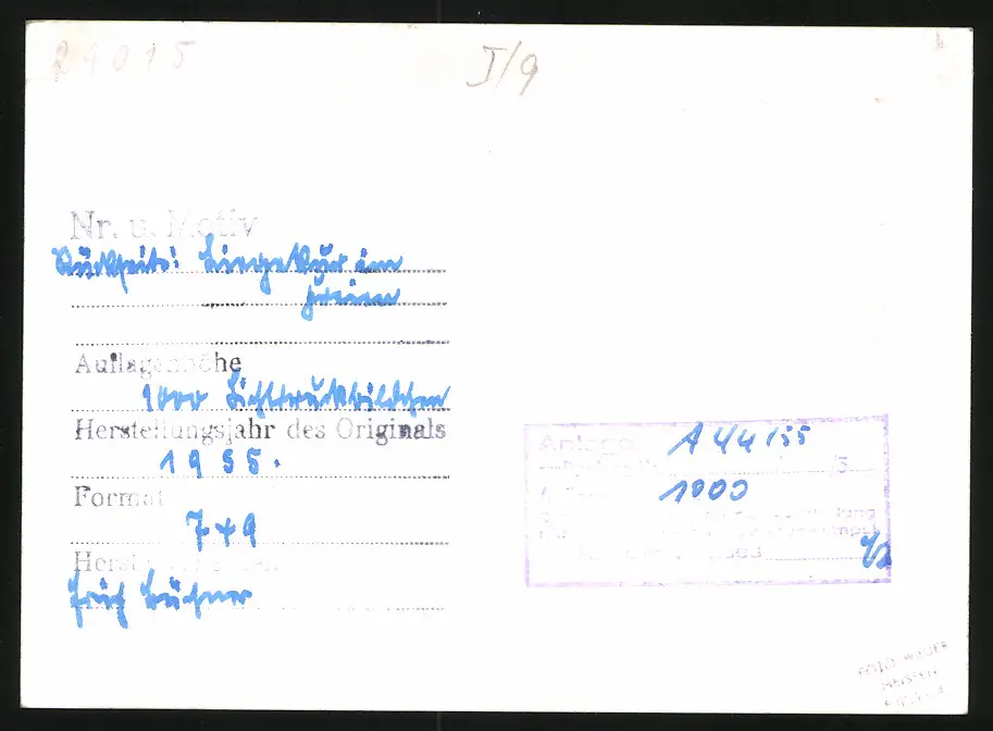 14 Fotografien Brück & Sohn Meissen, Ansicht Bad Lausick, Bethlehemstift - Kindererholungsheim, Aussen & Innenansichten 23