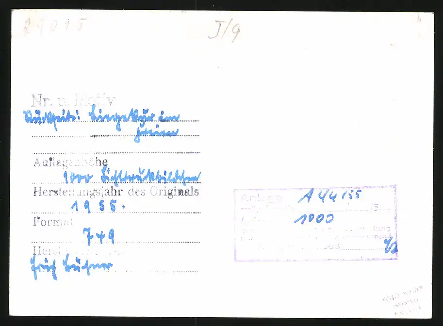 14 Fotografien Brück & Sohn Meissen, Ansicht Bad Lausick, Bethlehemstift - Kindererholungsheim, Aussen & Innenansichten 23