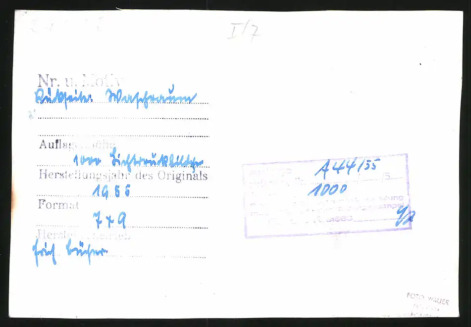 14 Fotografien Brück & Sohn Meissen, Ansicht Bad Lausick, Bethlehemstift - Kindererholungsheim, Aussen & Innenansichten 27