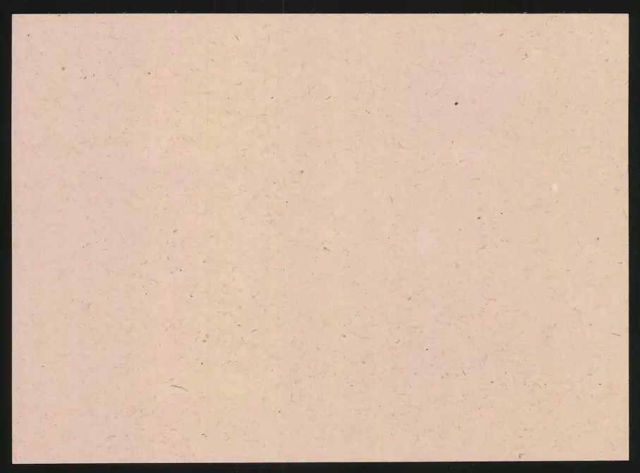 14 Fotografien Brück & Sohn Meissen, Ansicht Bad Lausick, Bethlehemstift - Kindererholungsheim, Aussen & Innenansichten 29