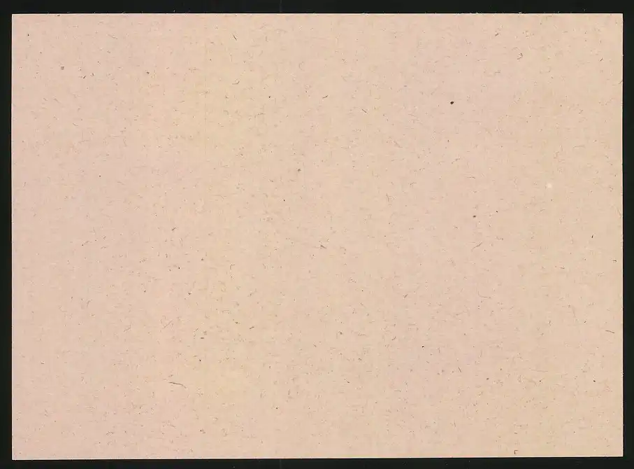 14 Fotografien Brück & Sohn Meissen, Ansicht Bad Lausick, Bethlehemstift - Kindererholungsheim, Aussen & Innenansichten 29